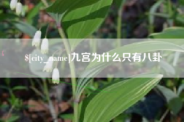 新余九宫为什么只有八卦