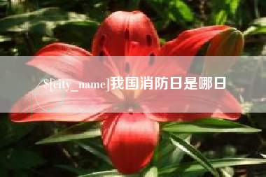 新余我国消防日是哪日