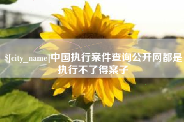新余中国执行案件查询公开网都是执行不了得案子