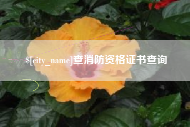 新余查消防资格证书查询