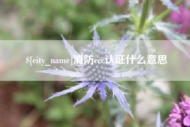 新余消防ccc认证什么意思