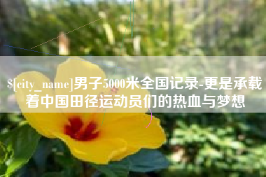 新余男子5000米全国记录-更是承载着中国田径运动员们的热血与梦想