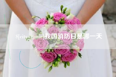 新余我国消防日是哪一天