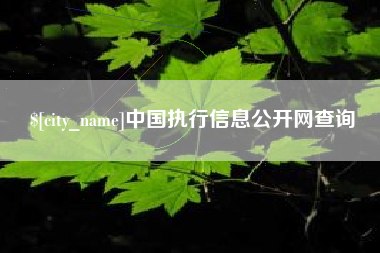 新余中国执行信息公开网查询