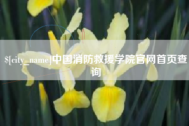 新余中国消防救援学院官网首页查询