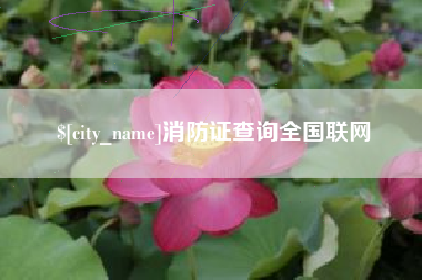 新余消防证查询全国联网