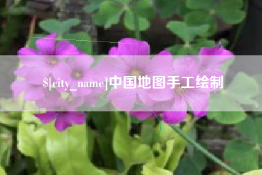 新余中国地图手工绘制