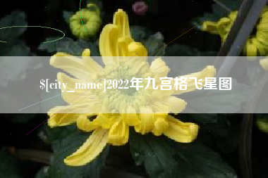 新余2022年九宫格飞星图