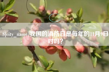 新余我国的消防日是每年的11月9日对吗？