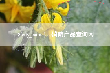 新余ccc消防产品查询网