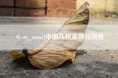 新余中国九枚金牌分别是