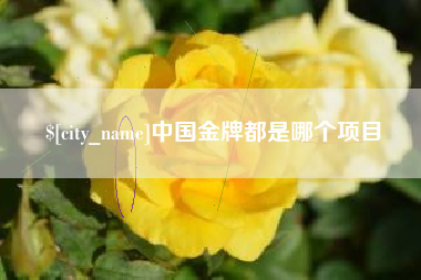 新余中国金牌都是哪个项目