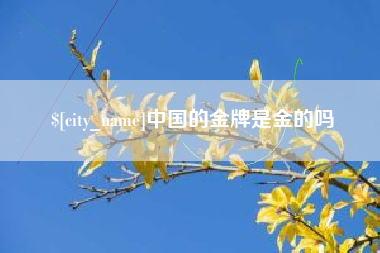 新余中国的金牌是金的吗