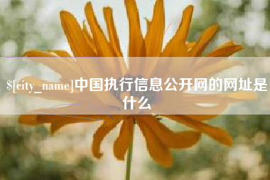 新余中国执行信息公开网的网址是什么
