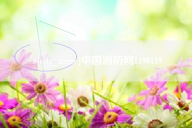 新余中国消防网1190119
