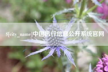 新余中国执行信息公开系统官网