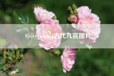 新余古代九宫图片
