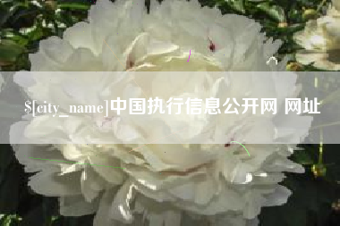 新余中国执行信息公开网 网址
