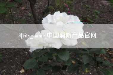 新余中国消防产品官网