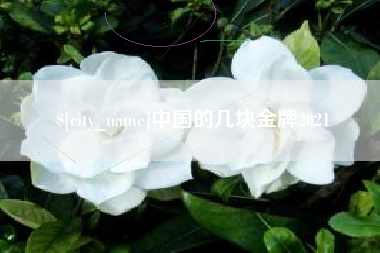 新余中国的几块金牌2021