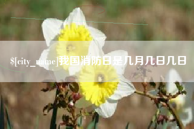 新余我国消防日是几月几日几日