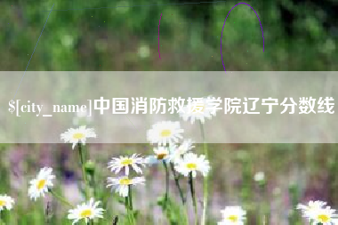 新余中国消防救援学院辽宁分数线