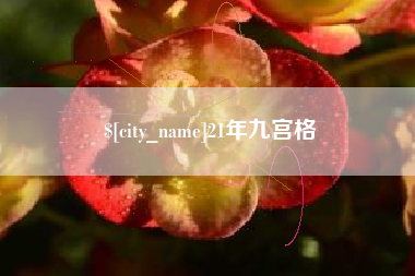 新余21年九宫格