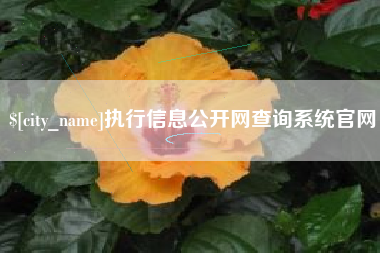 新余执行信息公开网查询系统官网
