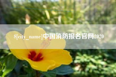 新余中国消防报名官网2020