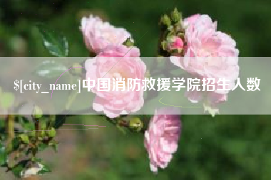 新余中国消防救援学院招生人数