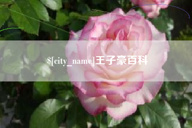 新余王子豪百科