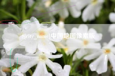 新余中国地图像素版