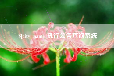 新余执行公告查询系统