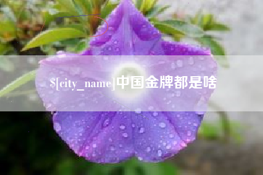 新余中国金牌都是啥