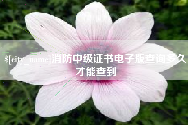 新余消防中级证书电子版查询多久才能查到