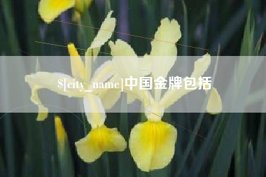 新余中国金牌包括