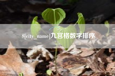 新余九宫格数字排序