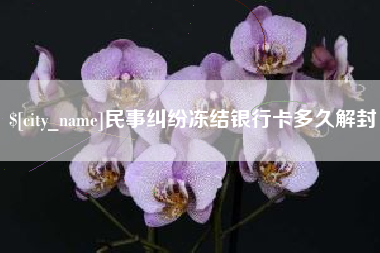 新余民事纠纷冻结银行卡多久解封