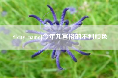 新余今年九宫格的不利颜色