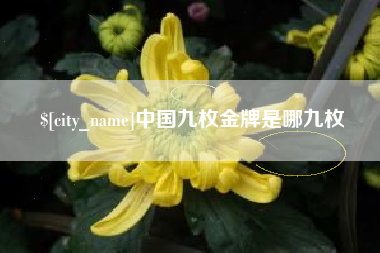 新余中国九枚金牌是哪九枚