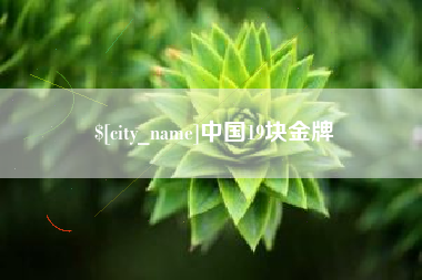 新余中国19块金牌