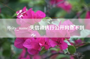 新余失信被执行公开网查不到