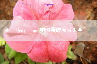 新余中国金牌图片大全