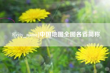 新余中国地图全图各省简称