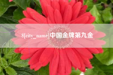 新余中国金牌第九金