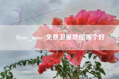 新余免费卫星地图哪个好