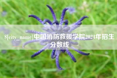 新余中国消防救援学院2024年招生分数线