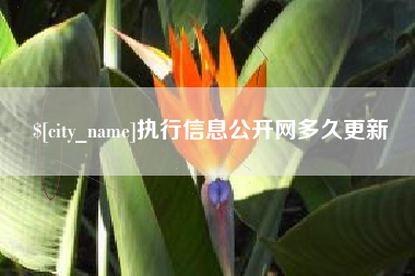 新余执行信息公开网多久更新