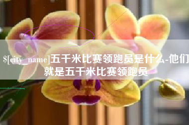 新余五千米比赛领跑员是什么-他们就是五千米比赛领跑员