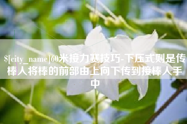 新余60米接力赛技巧-下压式则是传棒人将棒的前部由上向下传到接棒人手中